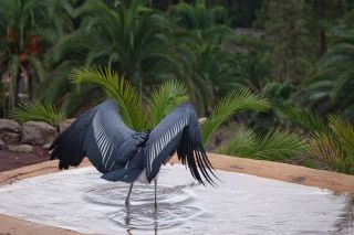 GC-Plalmitos Park 2019-120.JPG